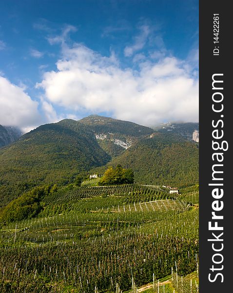 An image of orchards in the mountains