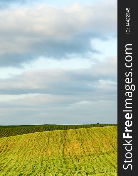 An image of green field and sky