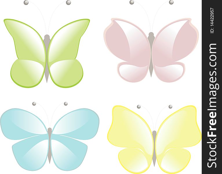 Four butterflies  illustration on white background.