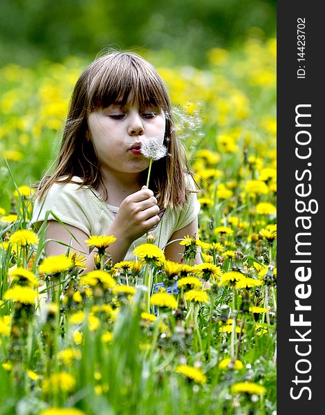 Little girl in the flowering field