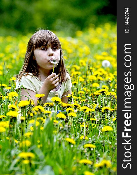 Little girl in the flowering field