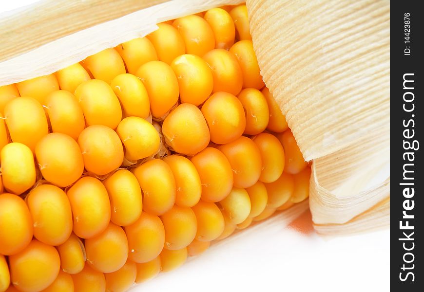 Detail of a corn on white background