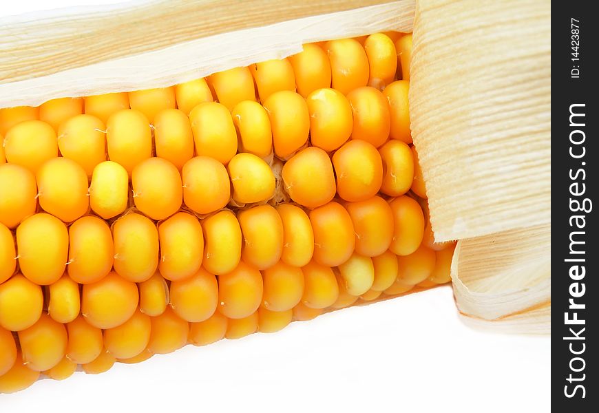 Detail of a corn on white background