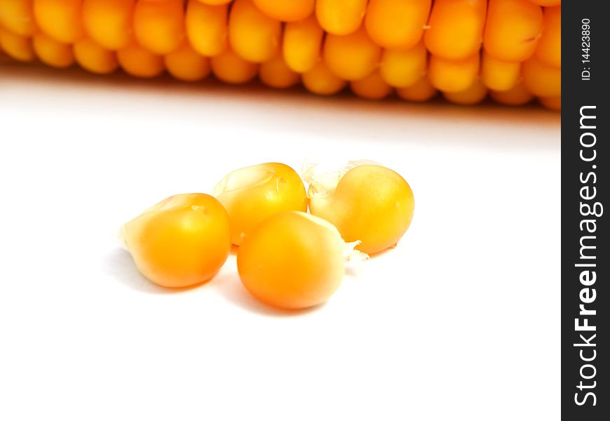 Detail of a corn on white background