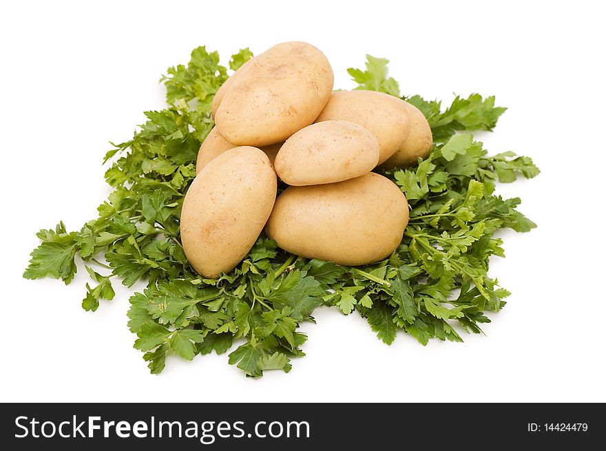 Potatoes on white background close up shoot. Potatoes on white background close up shoot