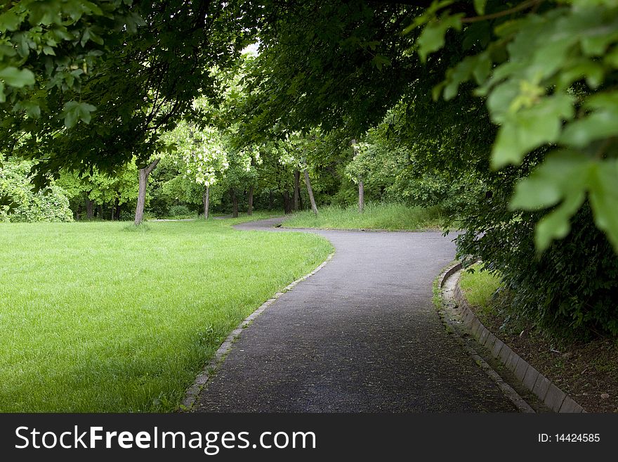 Path through landscaped green park