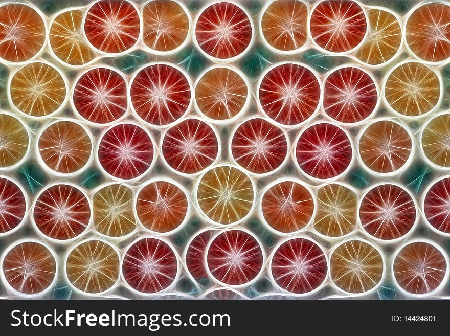 Illustration of slices of Citrus Fruits