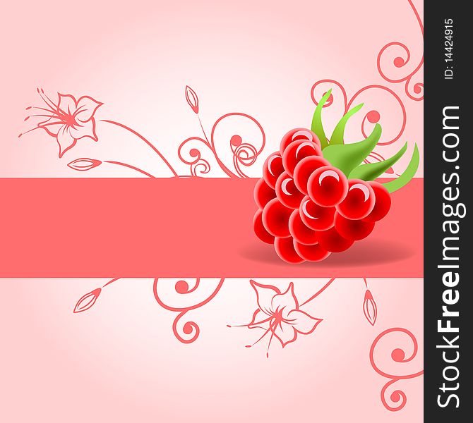 Card with raspberry. vector illustration