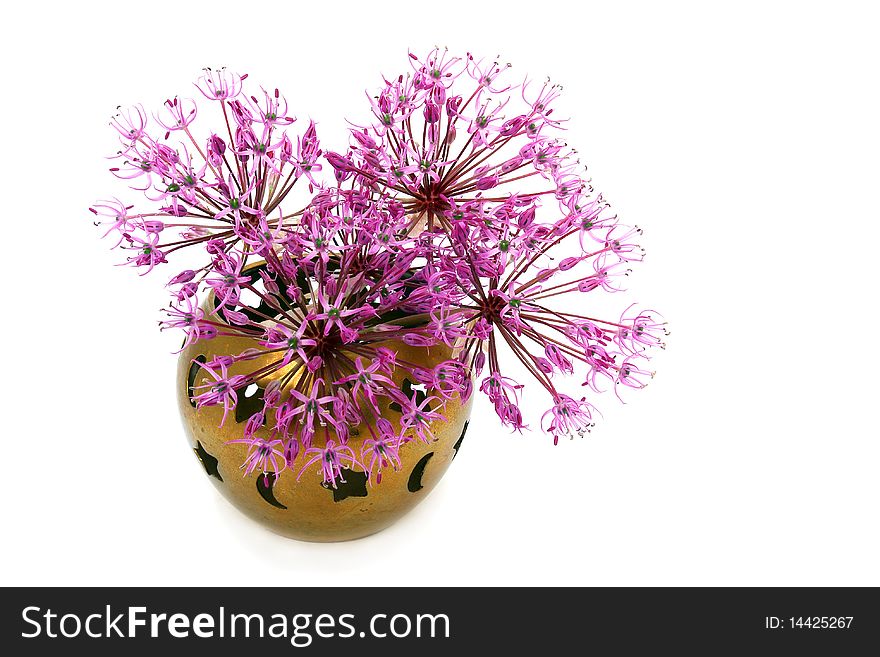 Flowers ornamental onion in a bronze vase isolated on white. Flowers ornamental onion in a bronze vase isolated on white