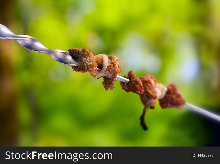 Tasty pieces of grilled meat on spit