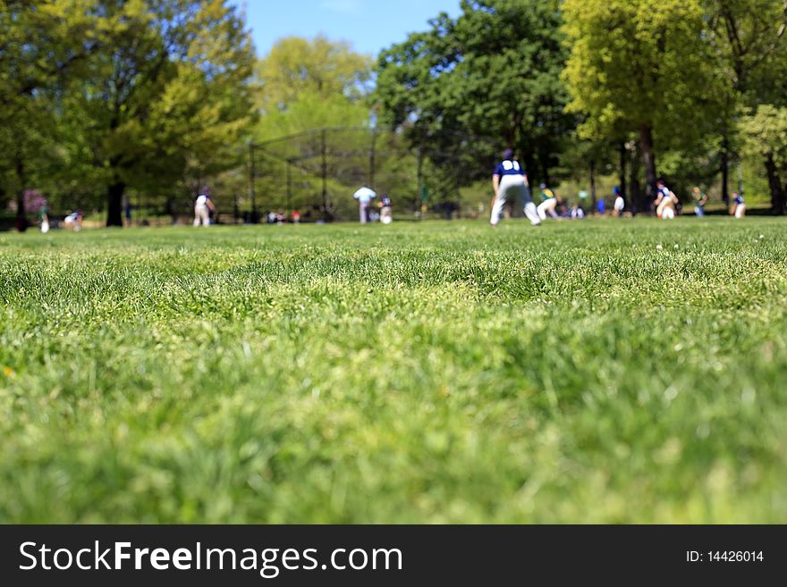 Baseball players in the park. Focus on grass, shallow DOF