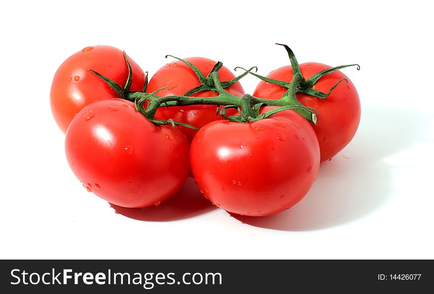 Branch of red tomatos with shadow isolated over white. Branch of red tomatos with shadow isolated over white