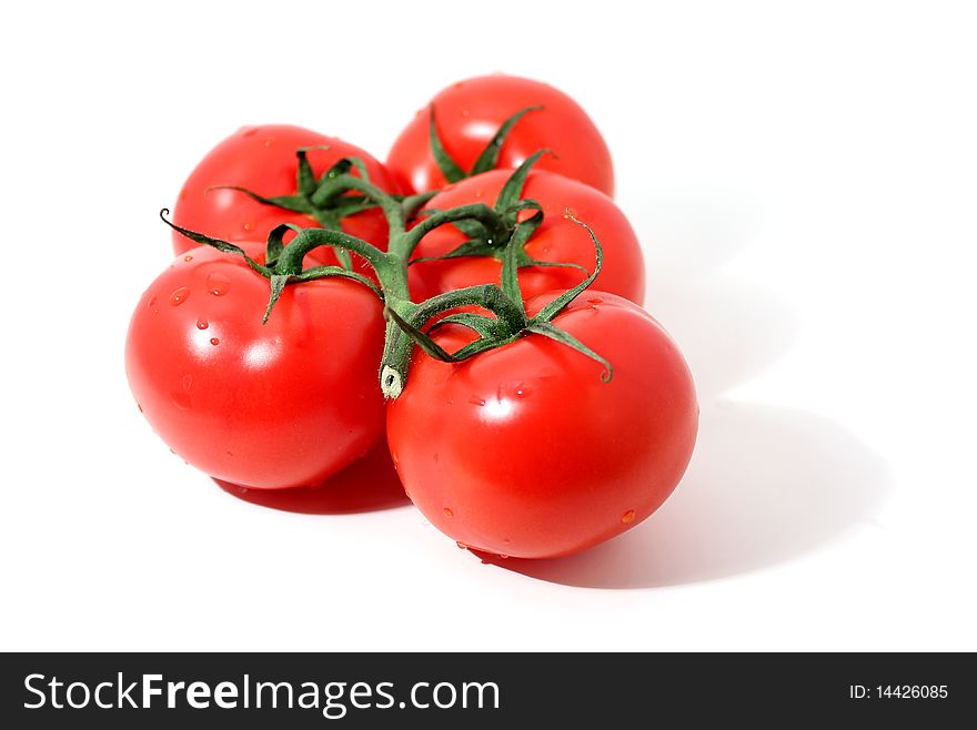 Branch Of Tomatos