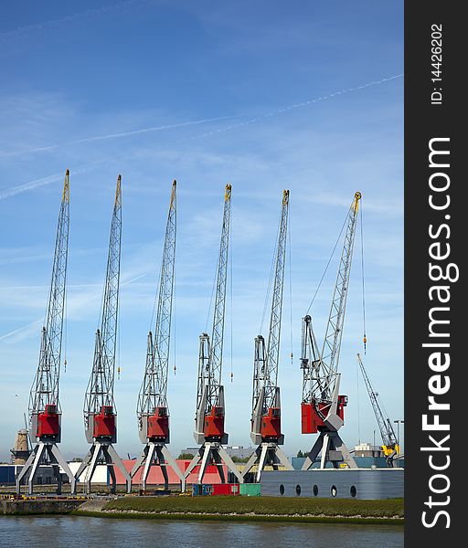 Cranes in the harbour of rotterdam