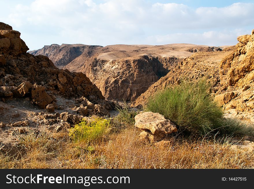 Metsoke Dragot - view to Wadi Darga. Metsoke Dragot - view to Wadi Darga