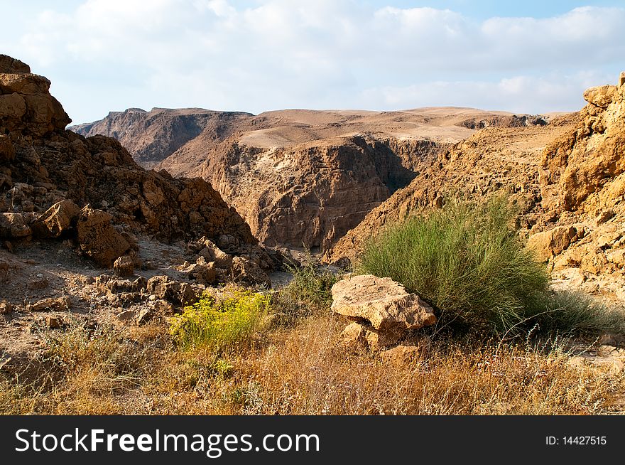 Dead Sea Hills