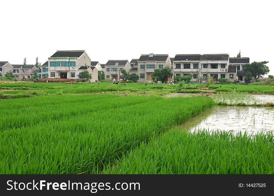 A farm village in the spring