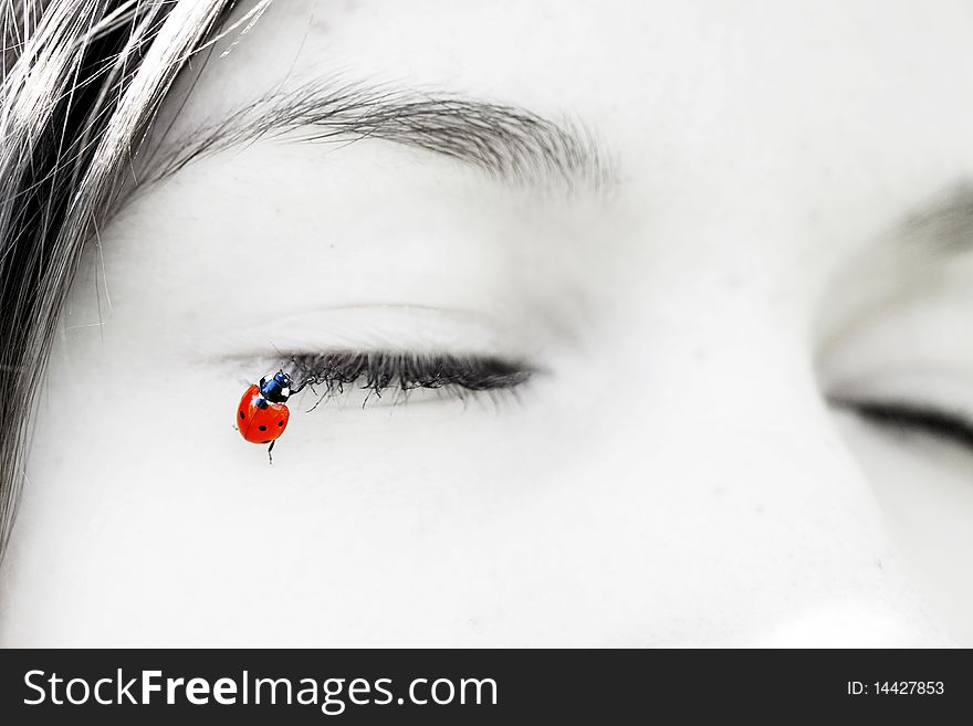 Image of a beautiful little ladybug, which sit on the lashes girl