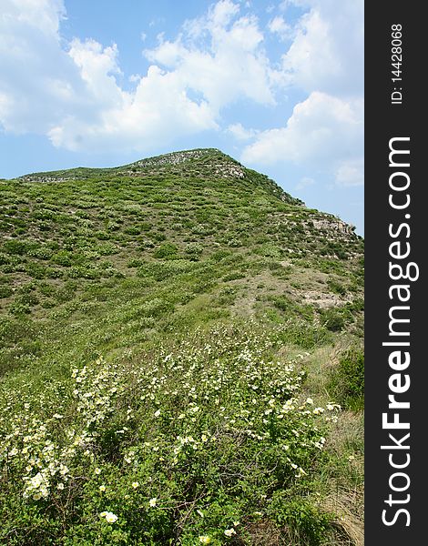 Early summer, the mountain scenery in northern China. Early summer, the mountain scenery in northern China