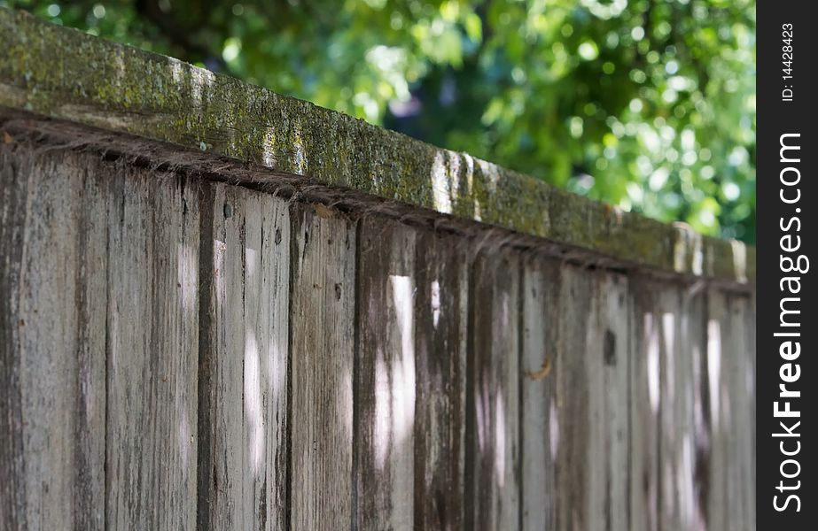 Old dirty wood fence in perspective with soft focus tree backgroundz. Old dirty wood fence in perspective with soft focus tree backgroundz