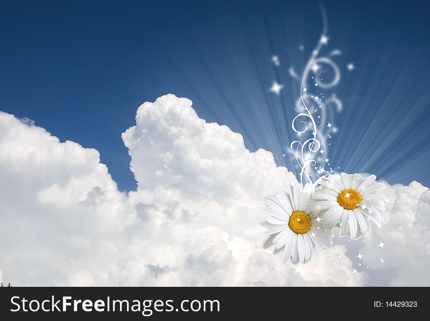 Floral on sky background white. Floral on sky background white