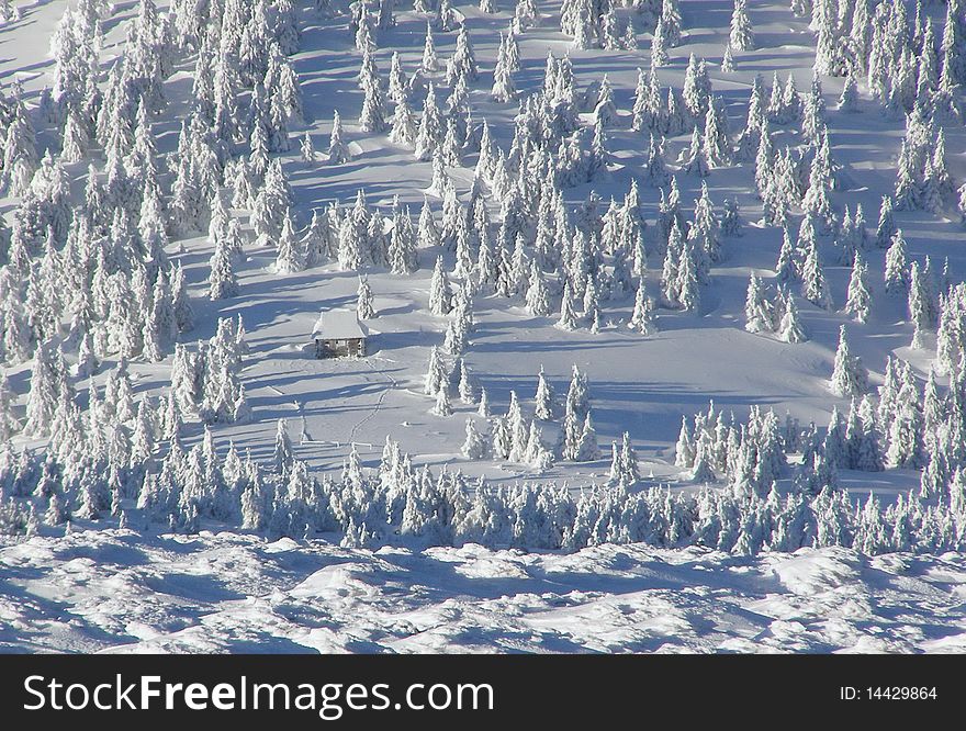 A small house in winter snow-covered wood. A small house in winter snow-covered wood.