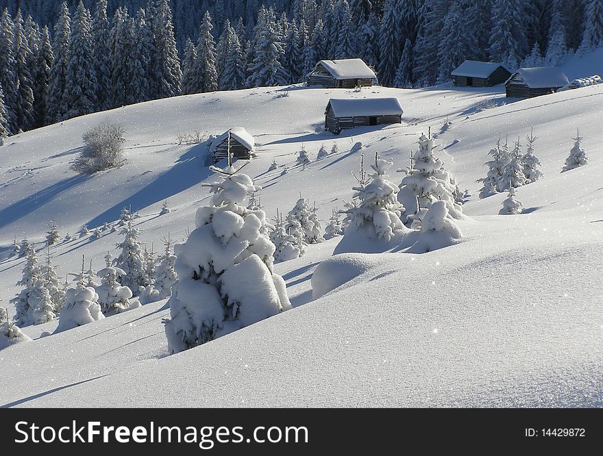 A winter white hillside in a landscape with small houses.