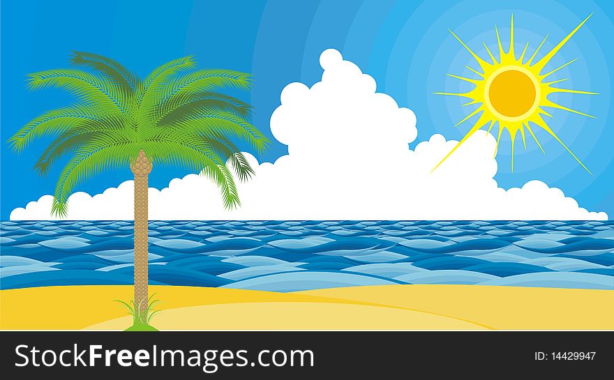 Beach, palm trees and sun