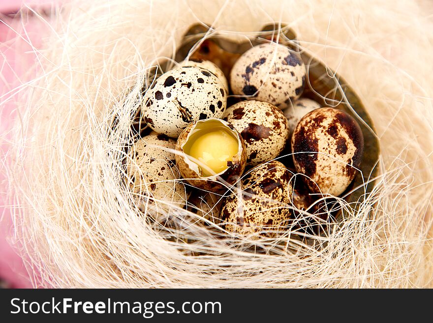 Quail eggs  in the nest on pink background with willow branch. Happy easter. Top view. Free space. Flat lay. Spring. Easter egg. Quail eggs  in the nest on pink background with willow branch. Happy easter. Top view. Free space. Flat lay. Spring. Easter egg