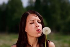 The Girl Blows On A Dandelion On Royalty Free Stock Photos