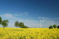 Wind Turbine On Field Of Oilseed Rape Royalty Free Stock Images Wind Turbine On Field Of Oilseed Rape Royalty Free Stock Images