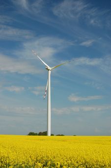 Wind Turbine On Field Of Oilseed Rape Stock Image Wind Turbine On Field Of Oilseed Rape Stock Image