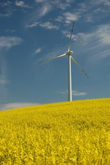 Wind Turbine On Field Of Oilseed Rape Stock Images Wind Turbine On Field Of Oilseed Rape Stock Images