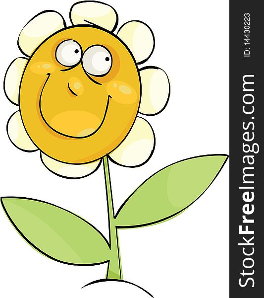 Funny Camomile