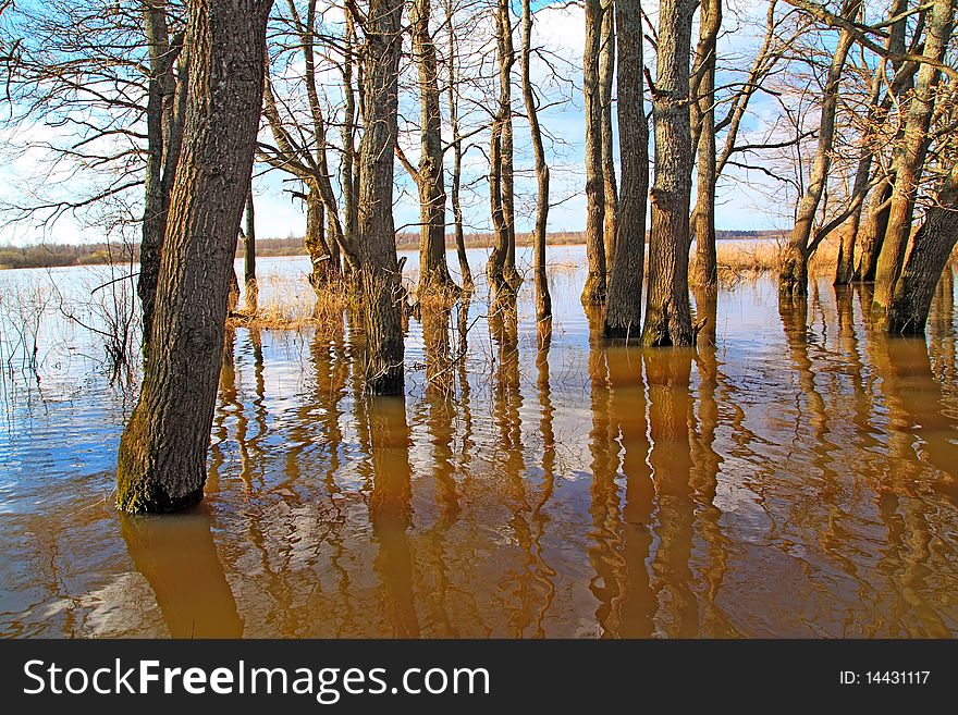 Flood In Wood
