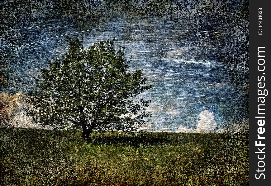 Alone Tree On Field.