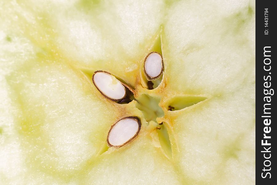 Pips of apple, close up - shallow dof