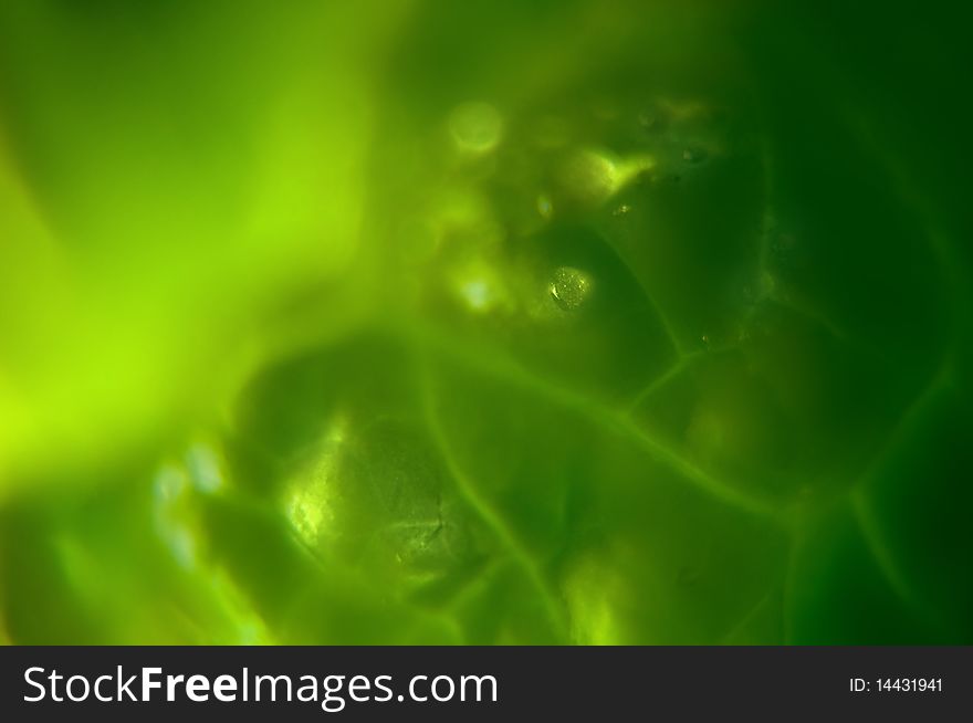 Mystic green background with drops of water