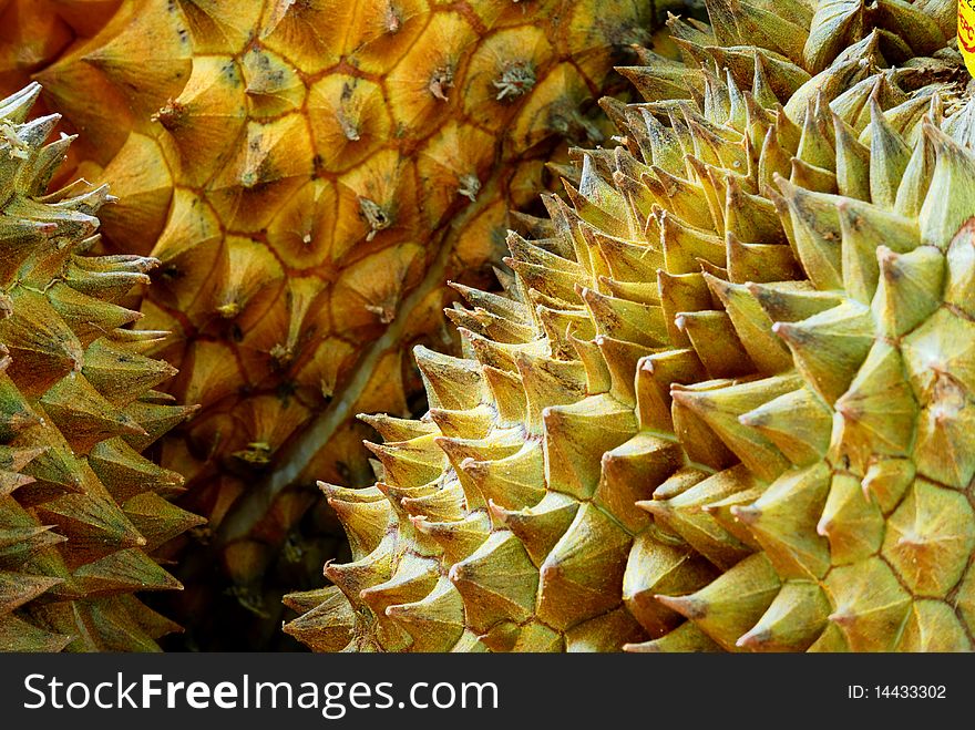 Fresh durian in fruit store, it can be used as illustration for agriculture or as advertising picture.