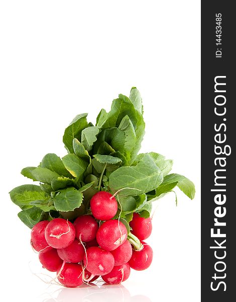 A bunch of red healthy radish isolated over white