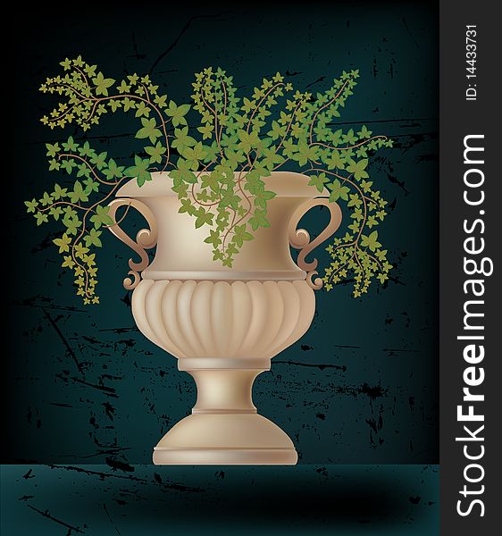 Vector illustration of antique amphora with ivy plant on black