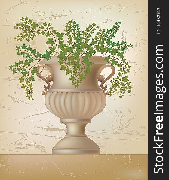 Vector illustration of antique amphora with ivy plant