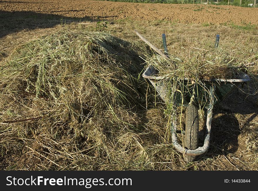 Wheelbarrow with a haystack on the side and a pitchfork