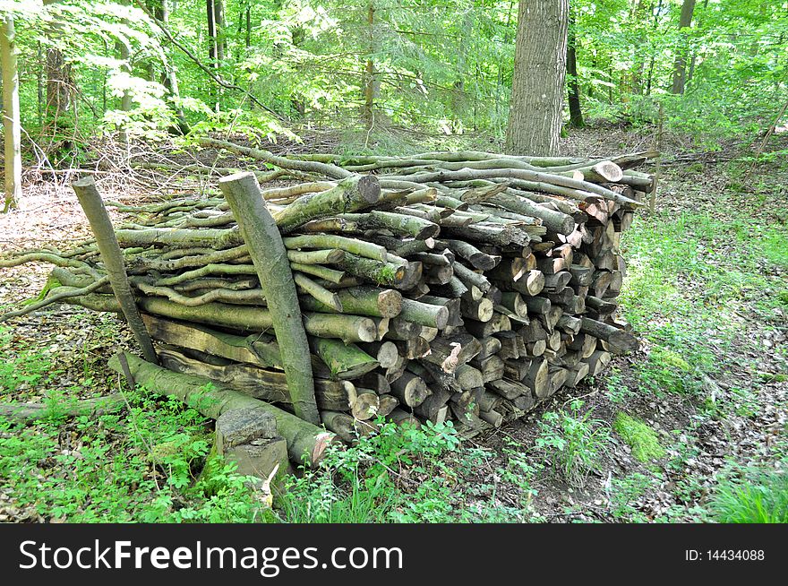 Firewood stack in forest consisting of wood poles in various sizes. Firewood stack in forest consisting of wood poles in various sizes