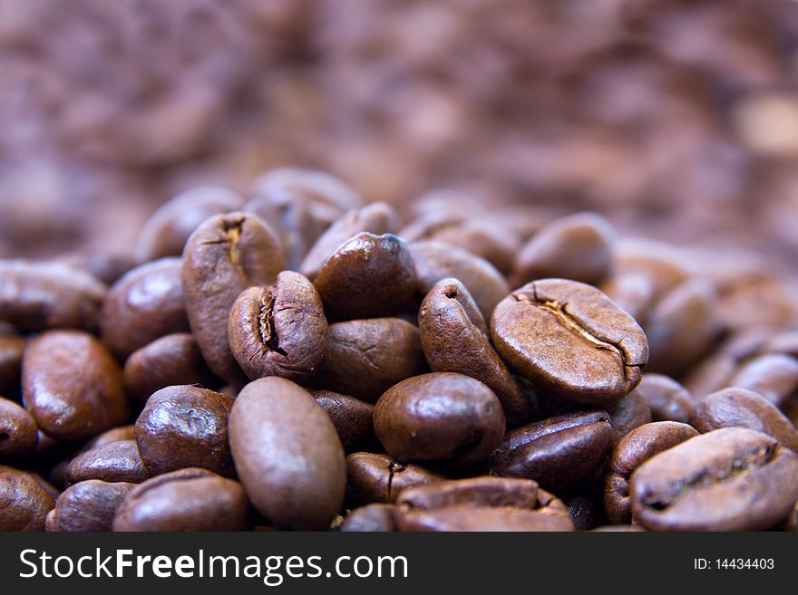 Coffee beans  isolated on a white background