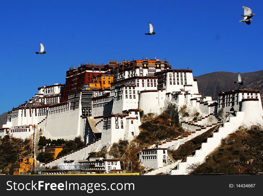 A few pigeons flying from the Potala Palace, the former