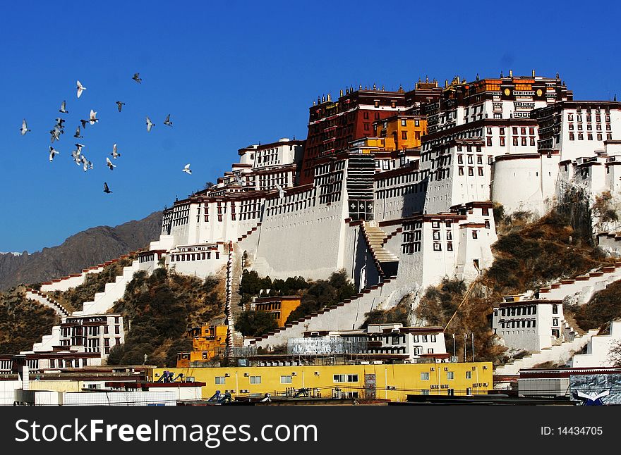 A few pigeons flying from the Potala Palace, the former