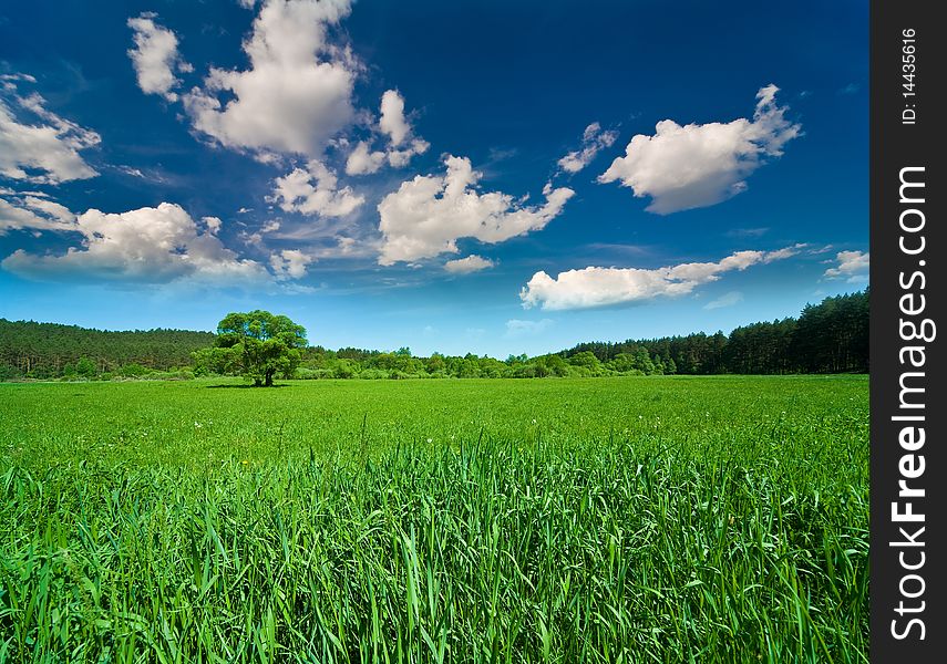 Blue sky with clouds and the green field