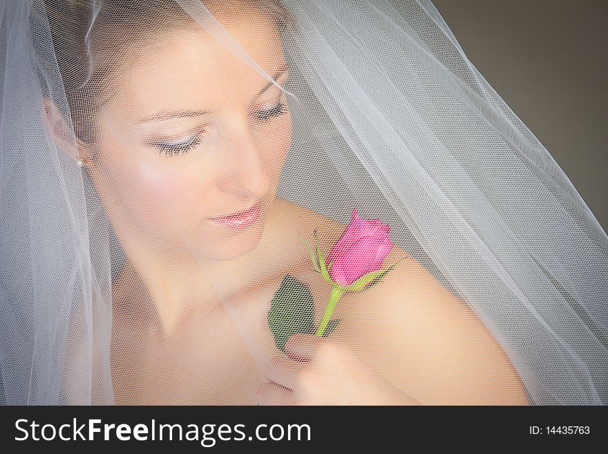Caucasian bride posing in wedding dress and rose flower. Caucasian bride posing in wedding dress and rose flower