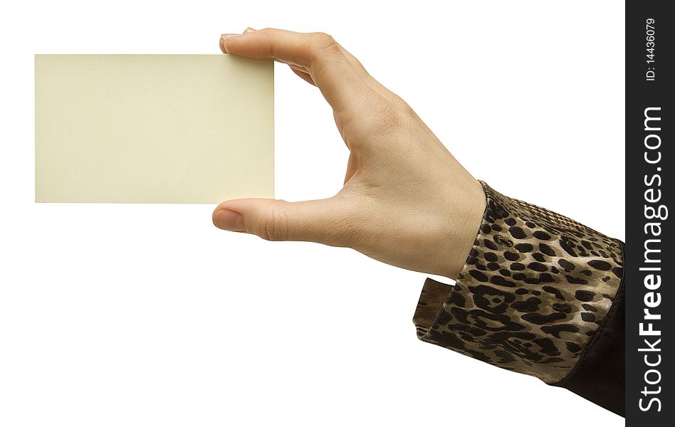 A card blank in a hand on the white